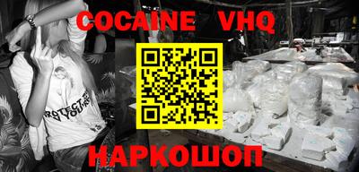 гашик Кингисепп