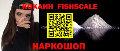 гашик Кингисепп