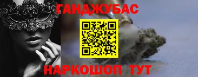 гашик Кингисепп