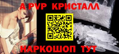 гашик Кингисепп