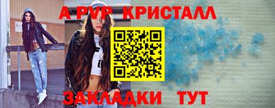 гашик Кингисепп