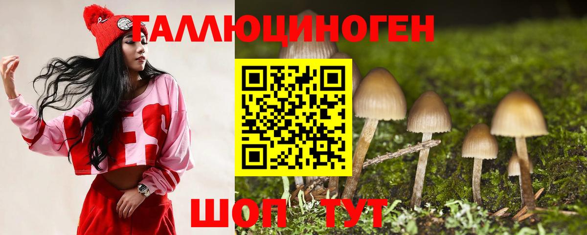 Галлюциногенные грибы Psilocybe  Галлюциногенные грибы прущие грибы  Кохма  Вход с VPN 